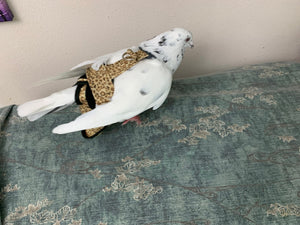 Hen Holster Bird Diaper with Sewn In Liner by Crazy K Farm, product photo 4 of 52