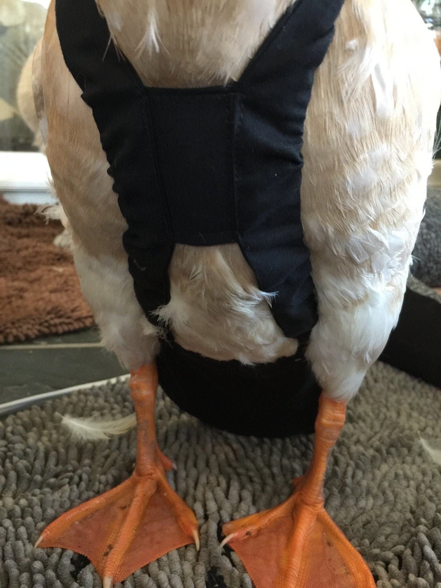 Hen Holster Duck and Goose Diaper by Crazy K Farm, product photo 3 of 36