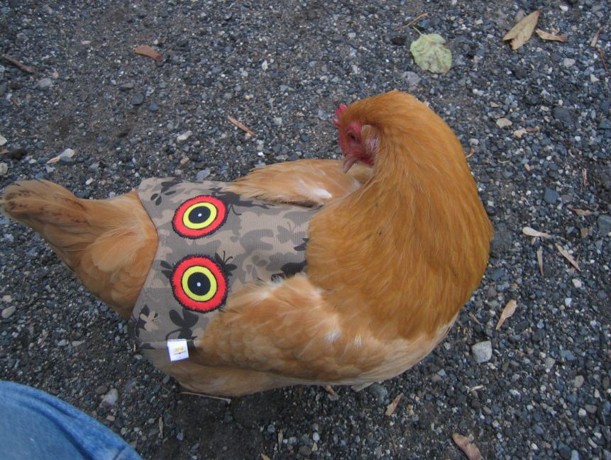 Hen Saver Chicken Saddle by Crazy K Farm, product photo 6 of 79