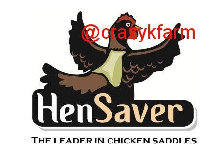 Hen Saver Chicken Saddle by Crazy K Farm, product photo 2 of 79