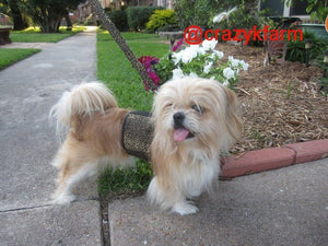 Holster Cotton Pet Leash by Crazy K Farm, product photo 18 of 29