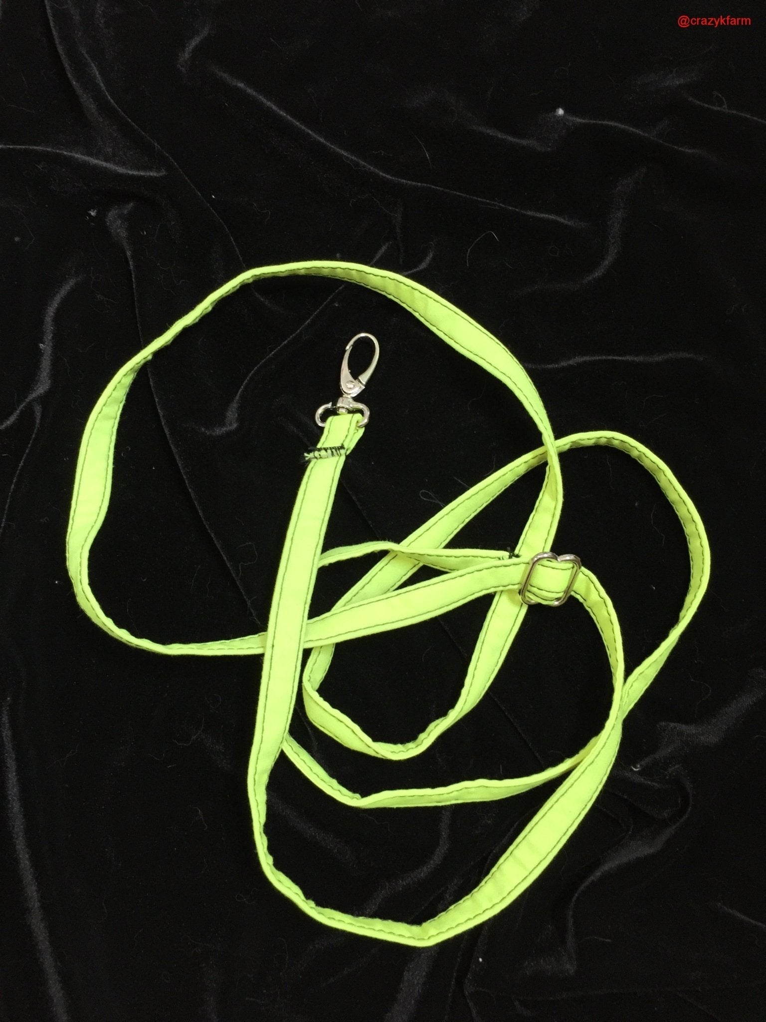 Holster Cotton Pet Leash by Crazy K Farm, product photo 22 of 29