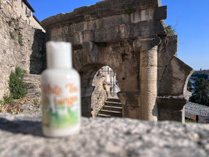 White Tea & Ginger Hand & Body Lotion 16 Oz Or 2 Oz by Essential Journeys, Southern food gift detail photo 9