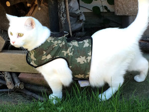 Kitty Holster Cat Harness by Crazy K Farm, product photo 4 of 49