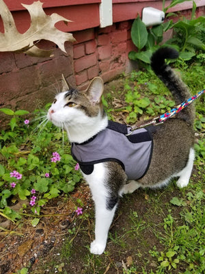 Kitty Holster Cat Harness by Crazy K Farm, product photo 7 of 49