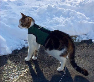 Kitty Holster Cat Harness by Crazy K Farm, product photo 8 of 49