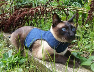 Kitty Holster Cat Harness by Crazy K Farm, product photo 32 of 49
