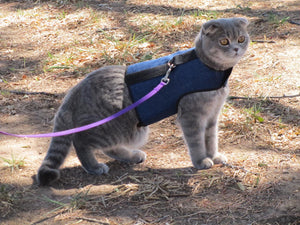 Kitty Holster Cat Harness by Crazy K Farm, product photo 29 of 49