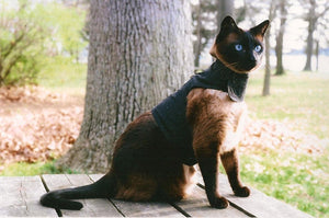 Kitty Holster Cat Harness by Crazy K Farm, product photo 30 of 49