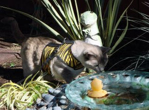 Kitty Holster Cat Harness by Crazy K Farm, product photo 16 of 49