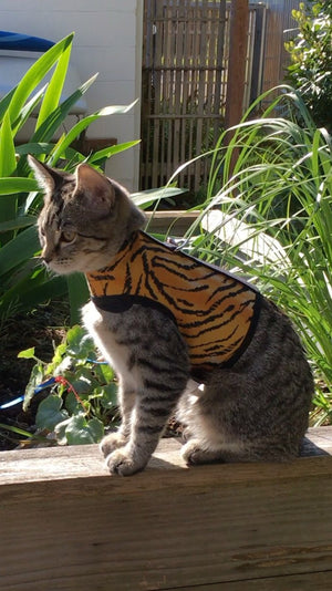 Kitty Holster Cat Harness by Crazy K Farm, product photo 6 of 49
