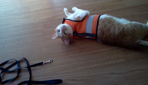 Kitty Holster Reflective Cat Harness by Crazy K Farm, product photo 7 of 26
