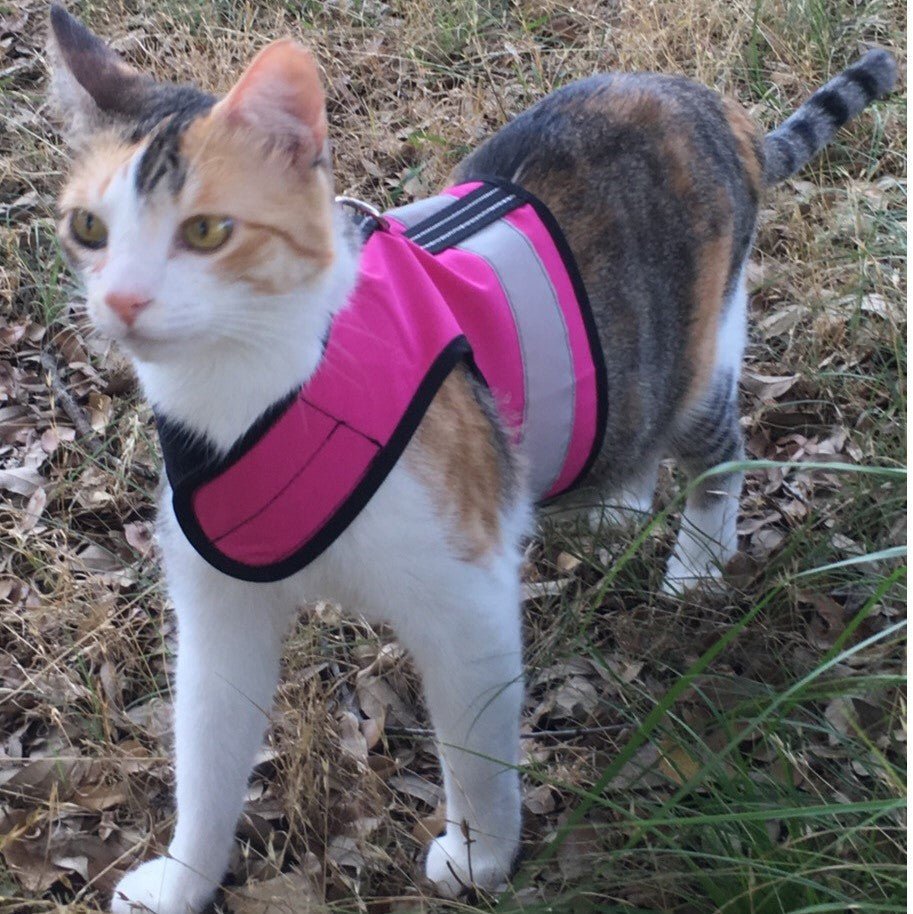 Kitty Holster Reflective Cat Harness by Crazy K Farm, product photo 1 of 26