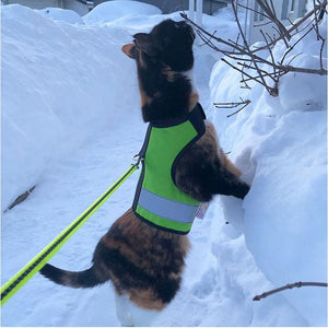 Kitty Holster Reflective Cat Harness by Crazy K Farm, product photo 13 of 26