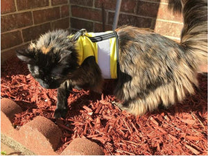 Kitty Holster Reflective Cat Harness by Crazy K Farm, product photo 22 of 26