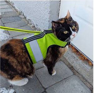 Kitty Holster Reflective Cat Harness by Crazy K Farm, product photo 12 of 26