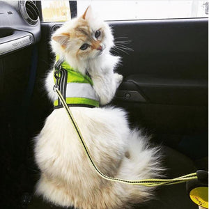Kitty Holster Reflective Cat Harness by Crazy K Farm, product photo 9 of 26