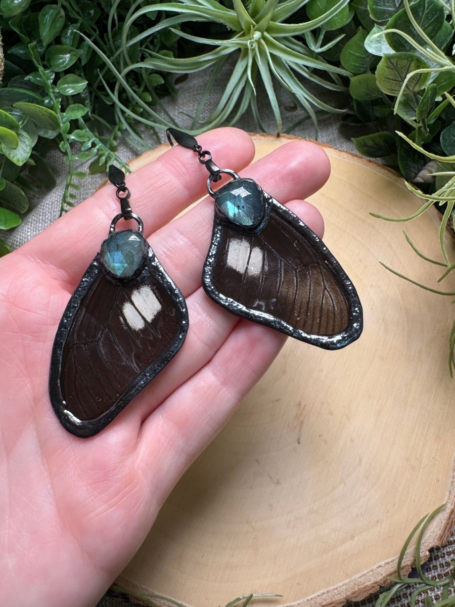 Labradorite and Butterfly Wing Earrings by Copper Ashes