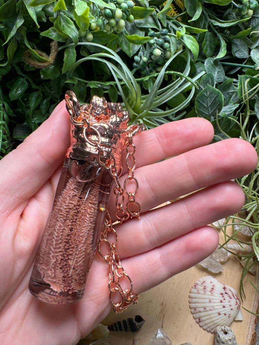 Labradorite, Barnacles, and Starfish Arm Oddity Vial Necklace detail view by Copper Ashes
