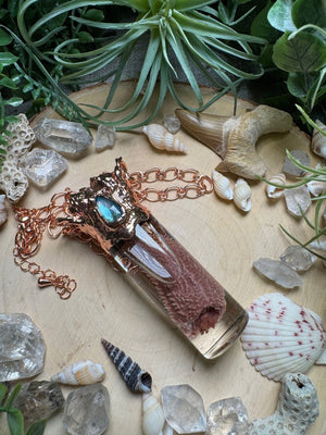 Labradorite, Barnacles, and Starfish Arm Oddity Vial Necklace detail view by Copper Ashes