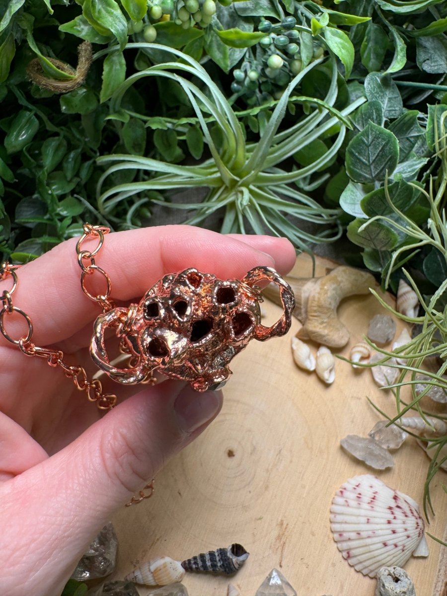 Labradorite, Barnacles, and Starfish Arm Oddity Vial Necklace detail view by Copper Ashes