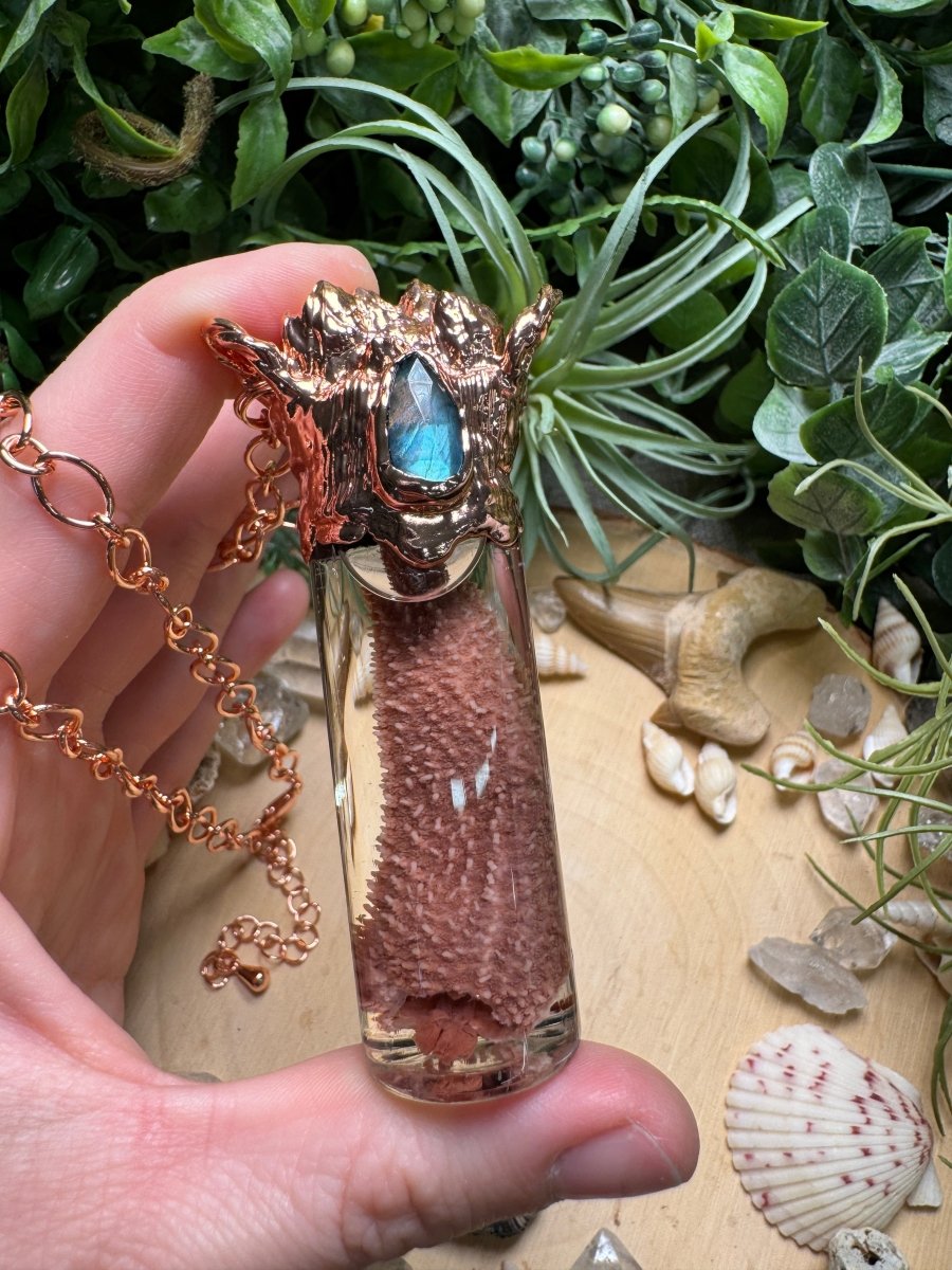Labradorite, Barnacles, and Starfish Arm Oddity Vial Necklace by Copper Ashes