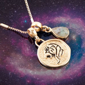 Leo - Zodiac Gray Labradorite Golden Charm Necklace detail view by Barse Jewelry