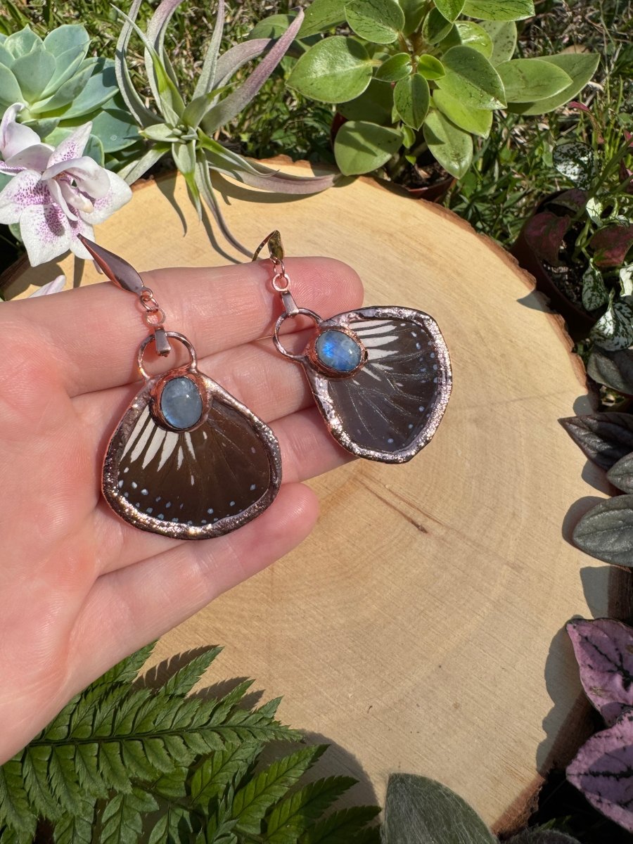 Moonstone and Butterfly Wing Earrings detail view by Copper Ashes