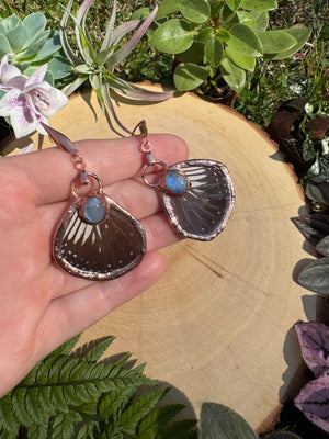 Moonstone and Butterfly Wing Earrings detail view by Copper Ashes