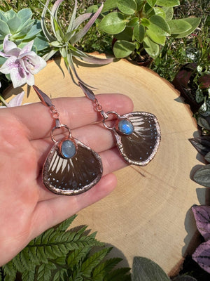 Moonstone and Butterfly Wing Earrings by Copper Ashes