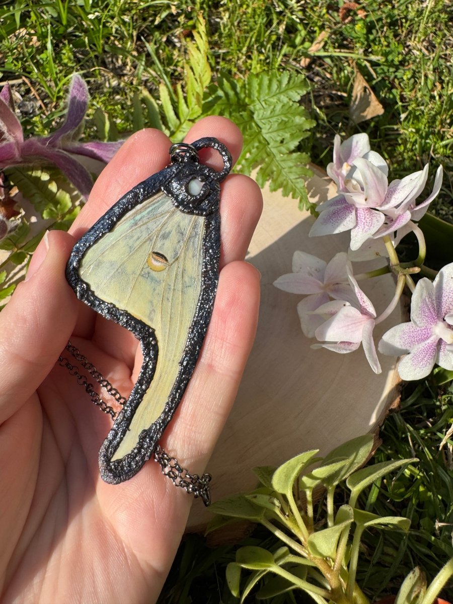 Mother of Pearl Shell and Luna Moth Wing Necklace detail view by Copper Ashes