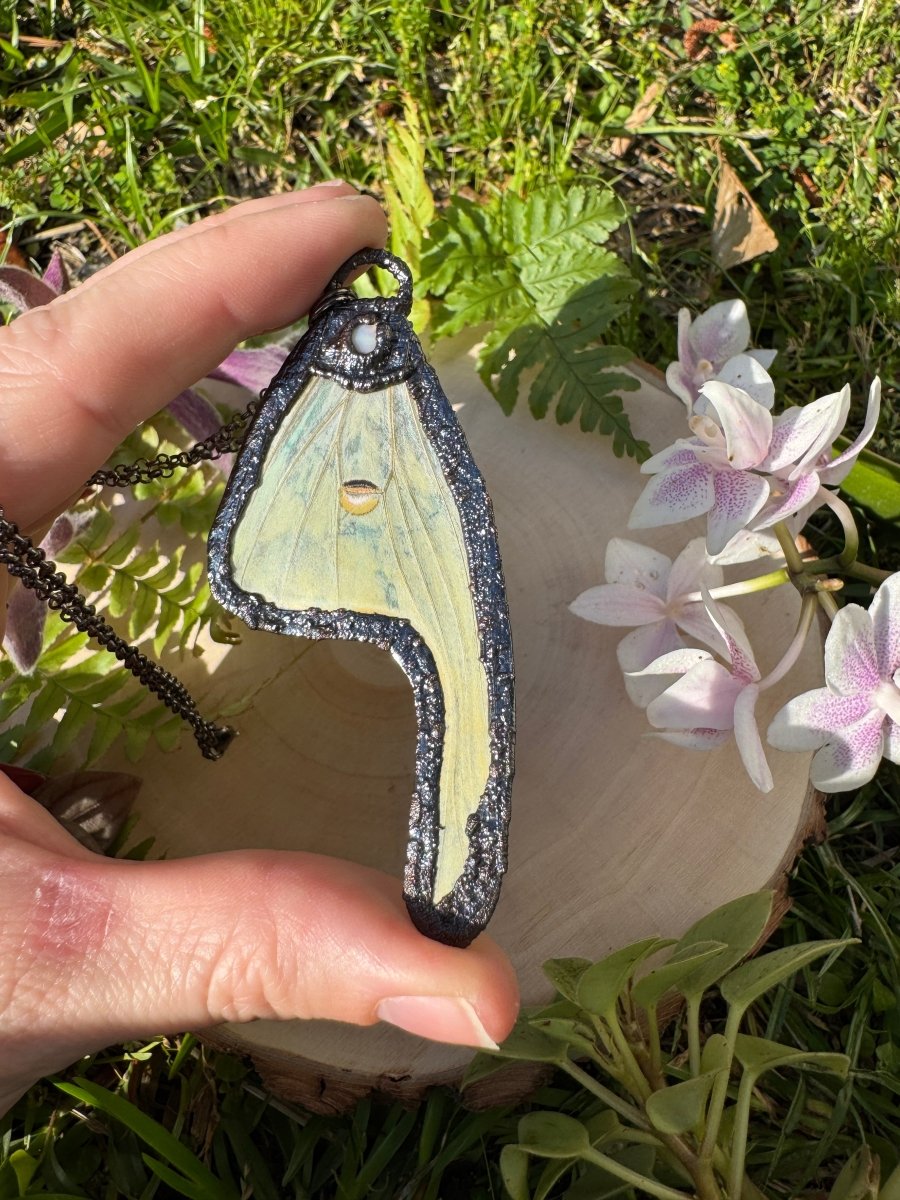 Mother of Pearl Shell and Luna Moth Wing Necklace by Copper Ashes