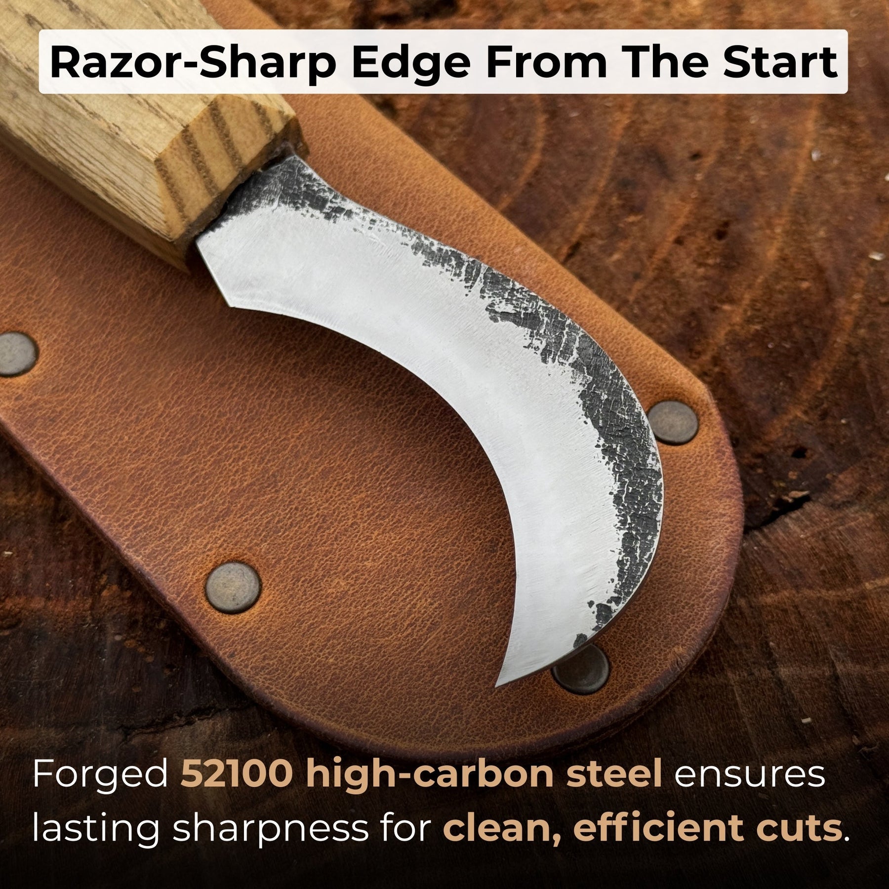 Mushroom Knife for Forest Walks, 6 cm (2.36 inches) detail view by Sharky Forged Steel Tools
