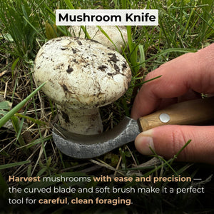Mushroom Knife for Forest Walks, 6 cm (2.36 inches) detail view by Sharky Forged Steel Tools