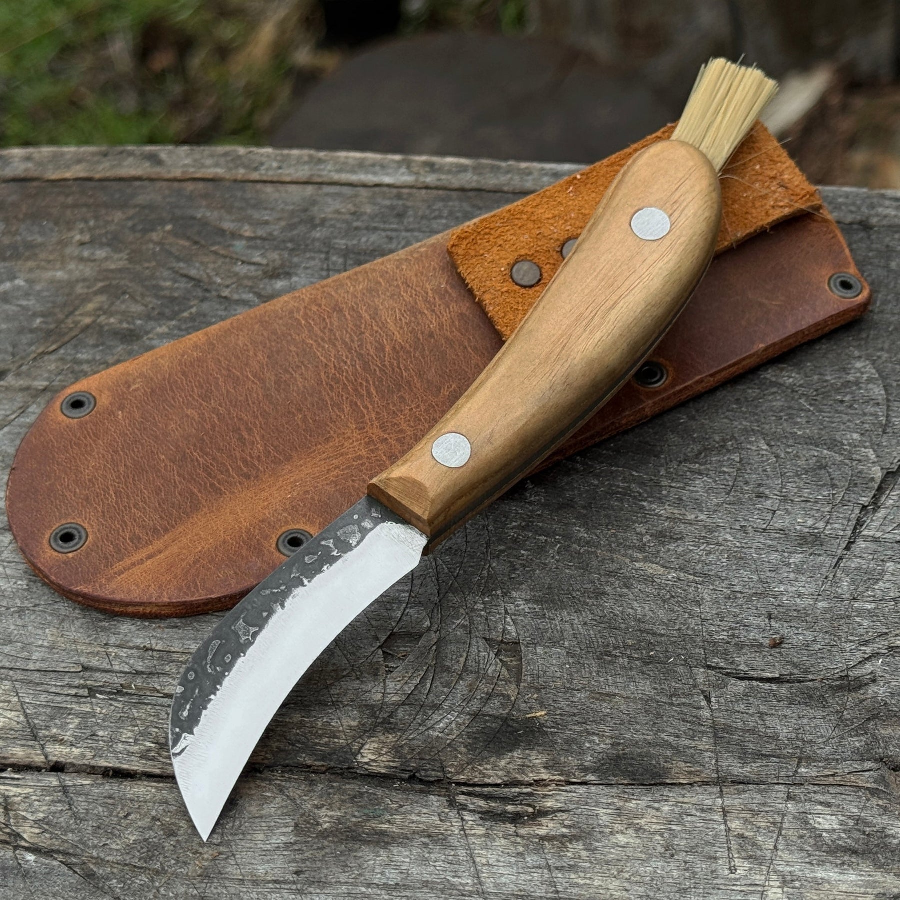 Mushroom Knife for Forest Walks, 6.5 cm (2.56 inches) by Sharky Forged Steel Tools