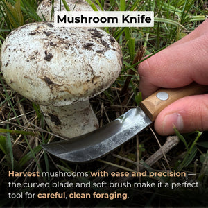 Mushroom Knife for Forest Walks, 6.5 cm (2.56 inches) detail view by Sharky Forged Steel Tools
