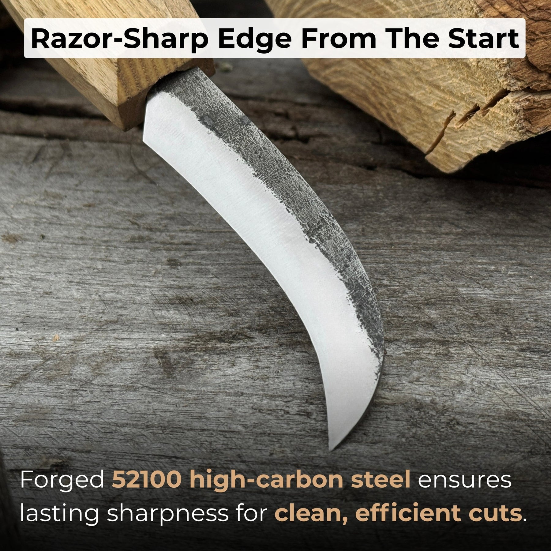 Mushroom Knife with Brush For Harvesting, 7.5 cm (2.95 inches) detail view by Sharky Forged Steel Tools