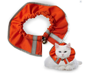 Prey Saver Cat Collar by Crazy K Farm, product photo 19 of 23