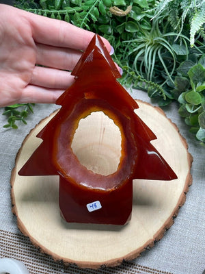 Red Druzy Agate Tree by Copper Ashes