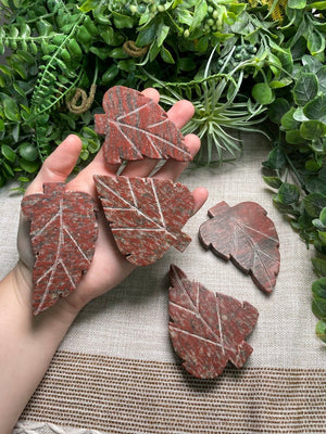 Red Que Sera Leaf detail view by Copper Ashes