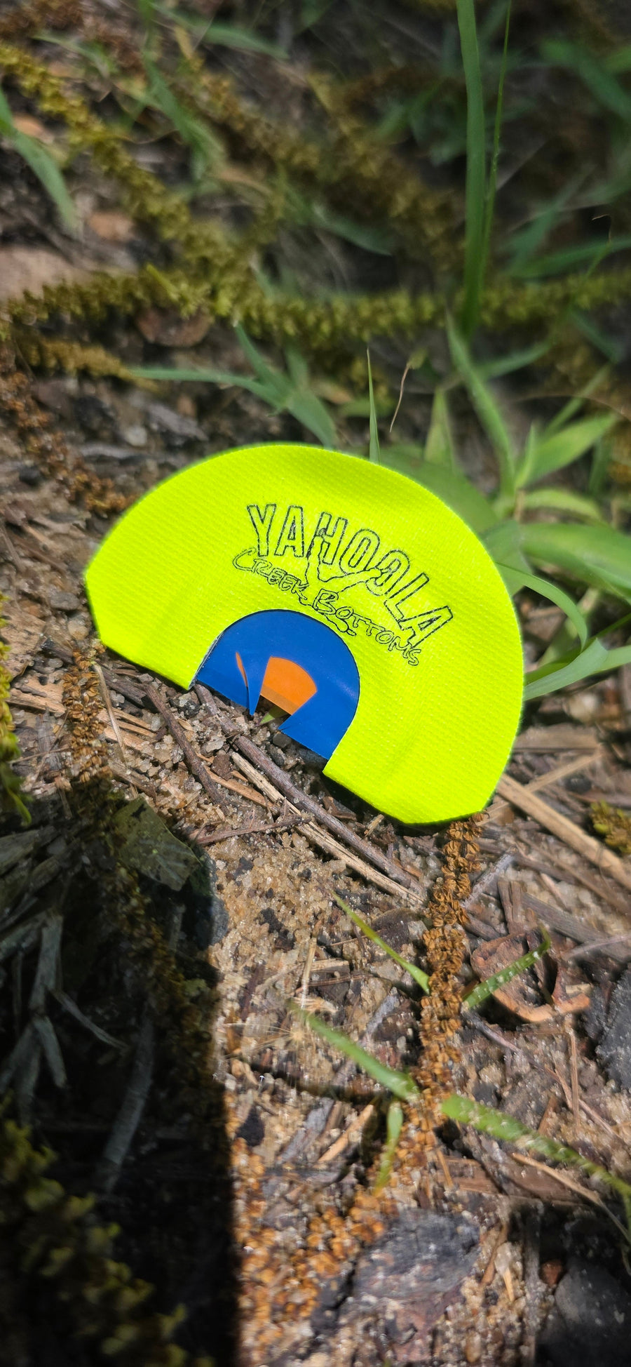 Yahoola Creek Bottoms