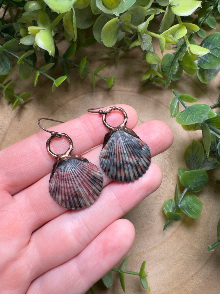 Scallop Shell Earrings detail view by Copper Ashes