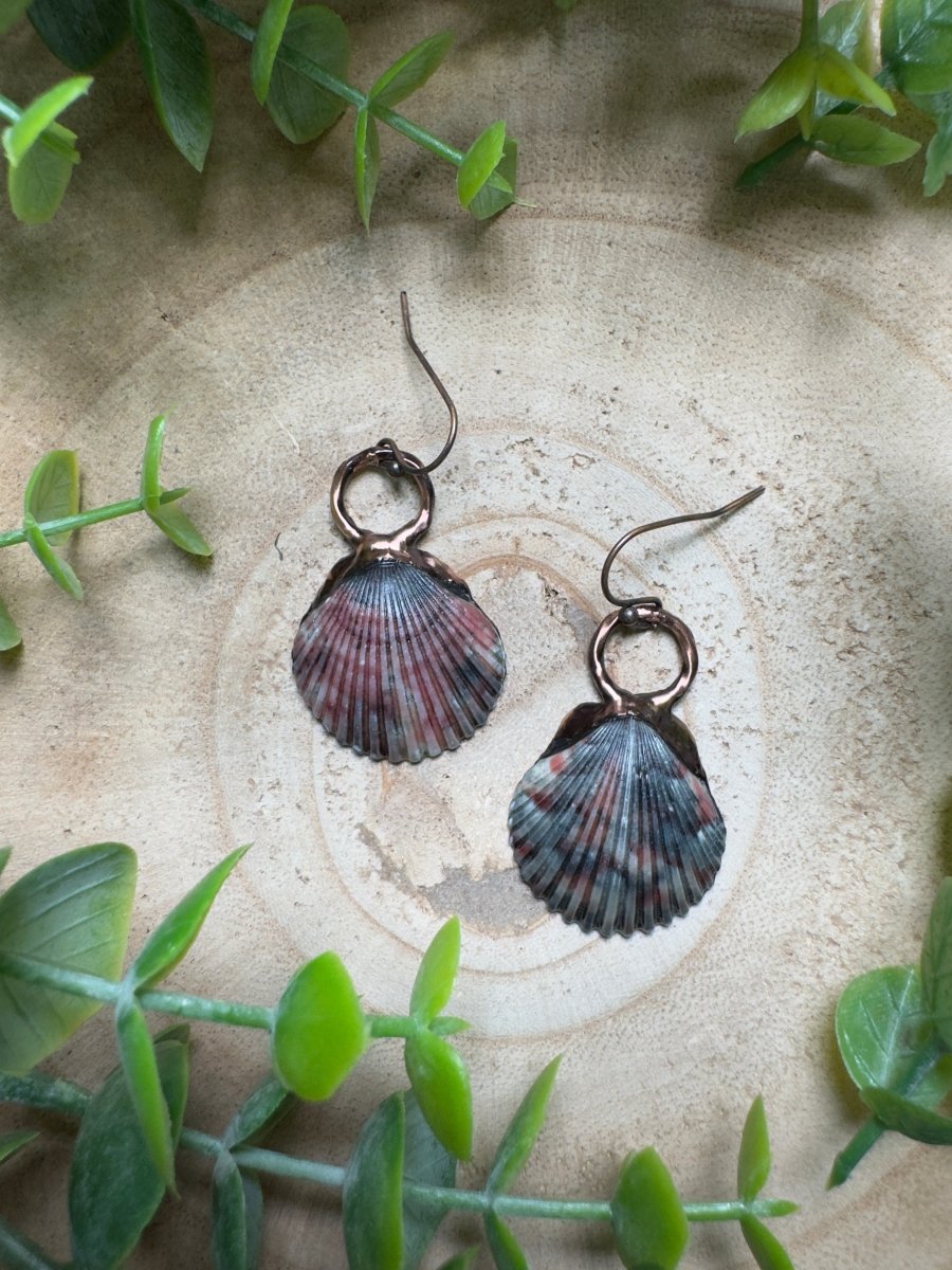 Scallop Shell Earrings by Copper Ashes