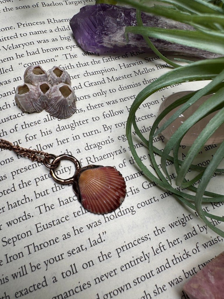 Scallop Shell Necklace detail view by Copper Ashes