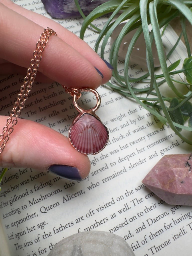 Scallop Shell Necklace by Copper Ashes