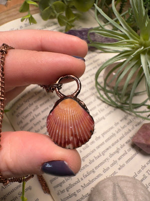 Scallop Shell Necklace by Copper Ashes