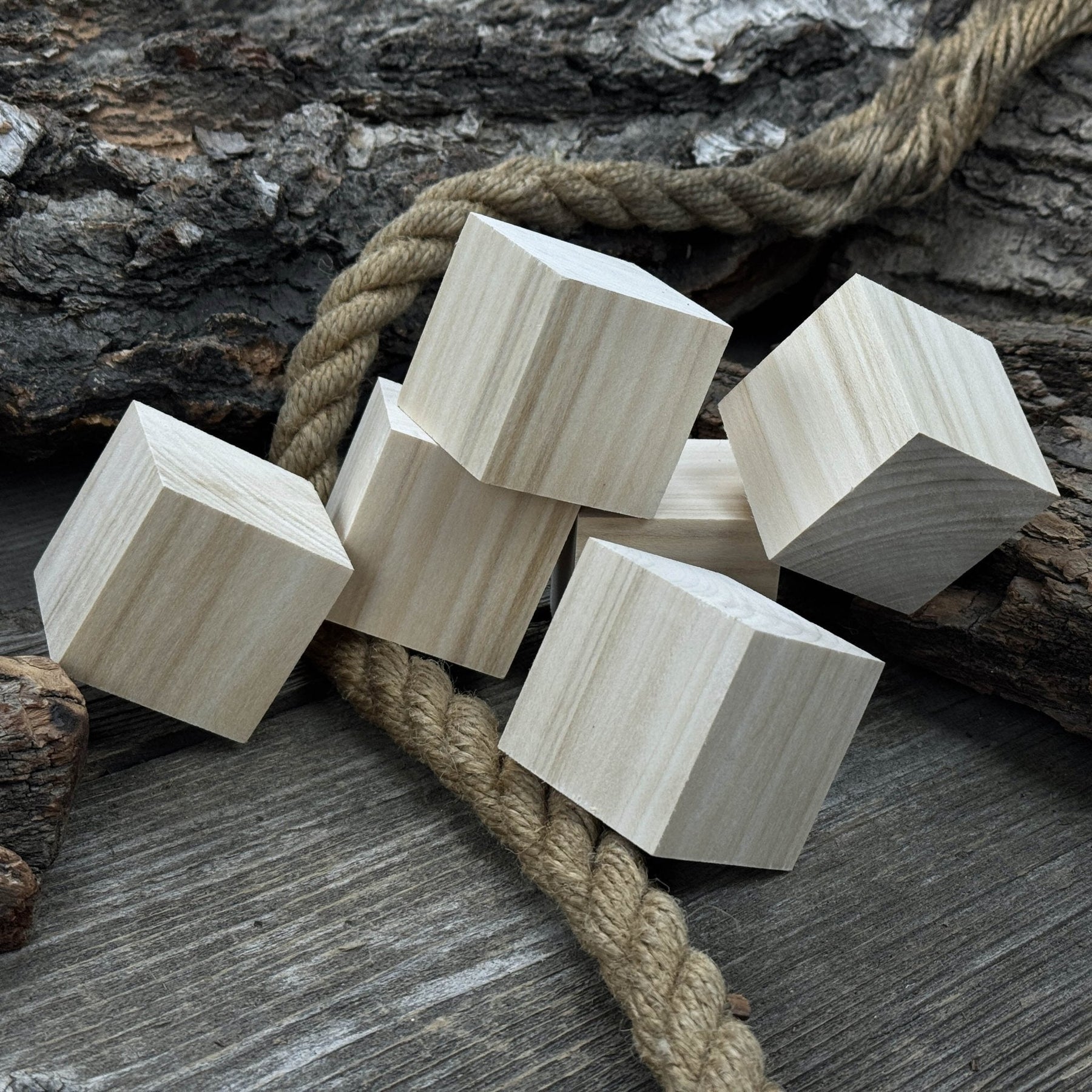 Set of 6 Linden Wood Carving Blanks by Sharky Forged Steel Tools