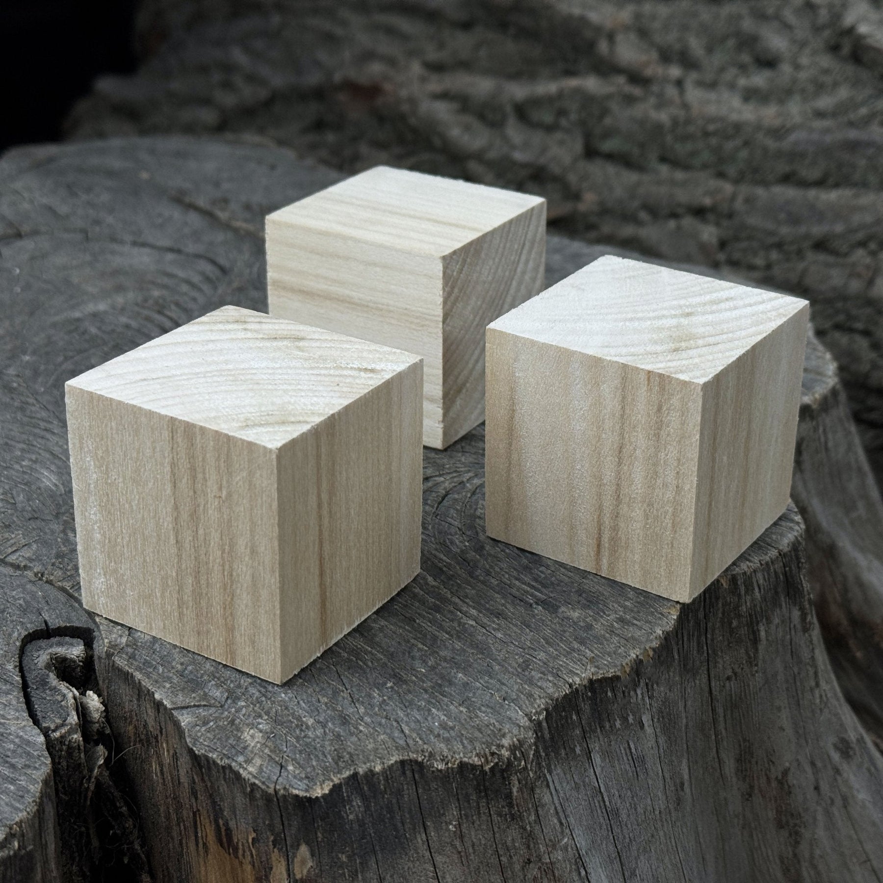 Set of 6 Linden Wood Carving Blanks detail view by Sharky Forged Steel Tools