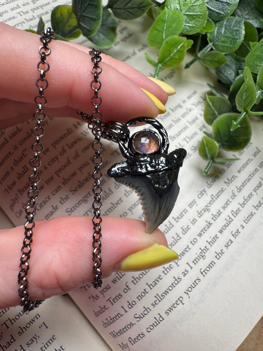 Shark Tooth and Labradorite Necklace by Copper Ashes