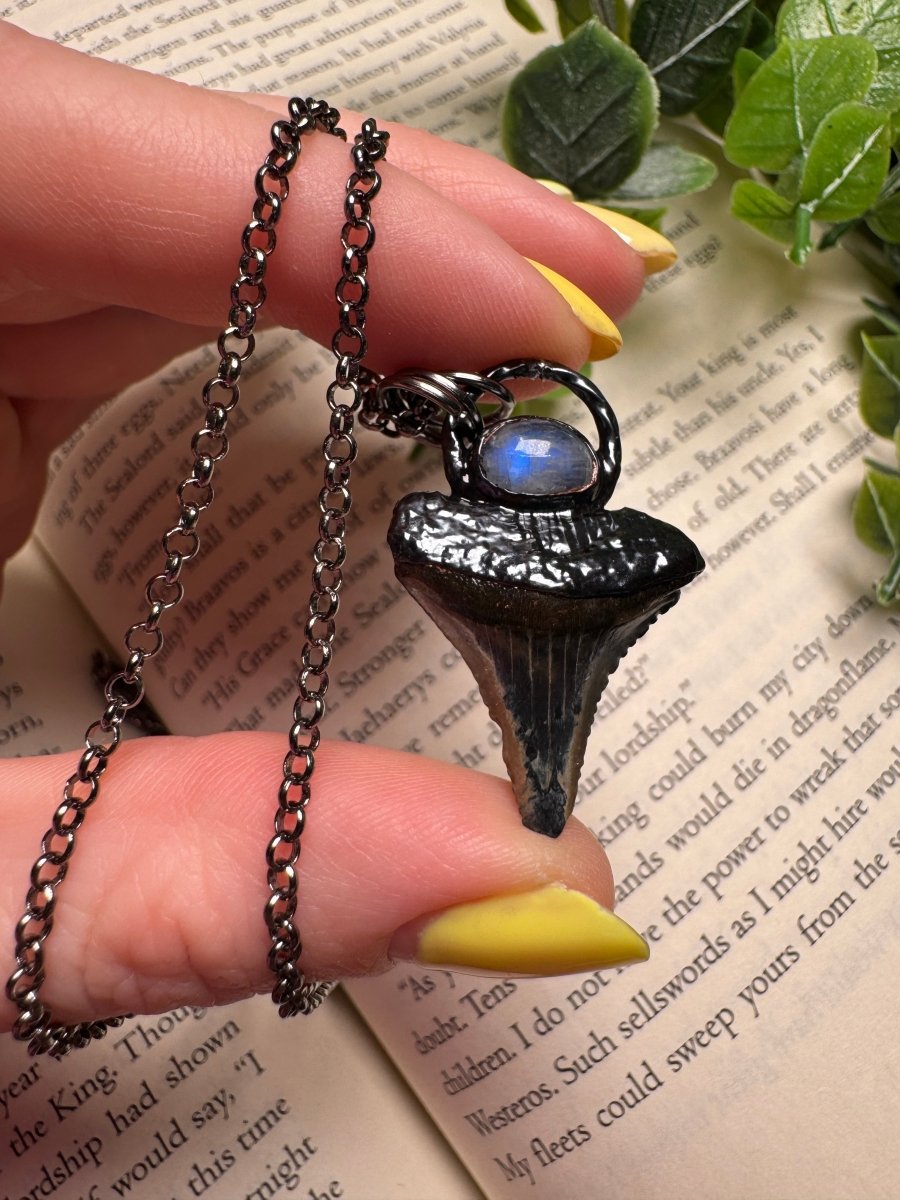 Shark Tooth and Moonstone Necklace by Copper Ashes